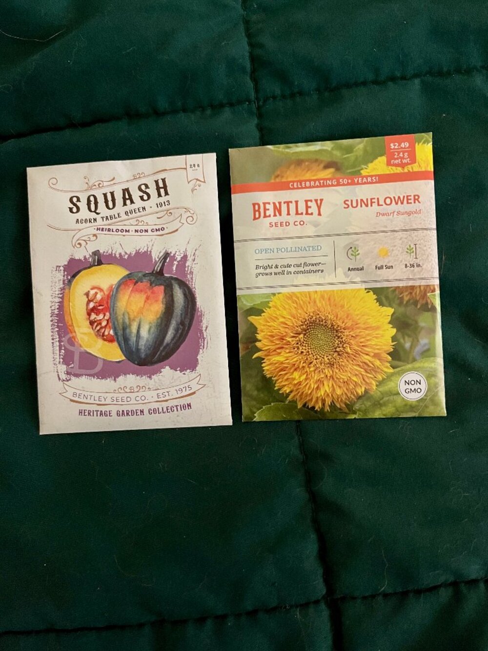 🍒 5/$25 🍒 FALL GARDENING SEEDS | Dwarf Sungold Sunflower & Squash